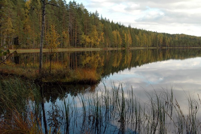 Am Ufer des Iso Ruokejärvi im Helvetinjärvi Nationalpark