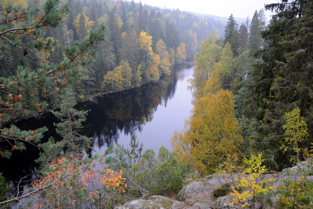 Blick auf den Iso Helvetinjärvi