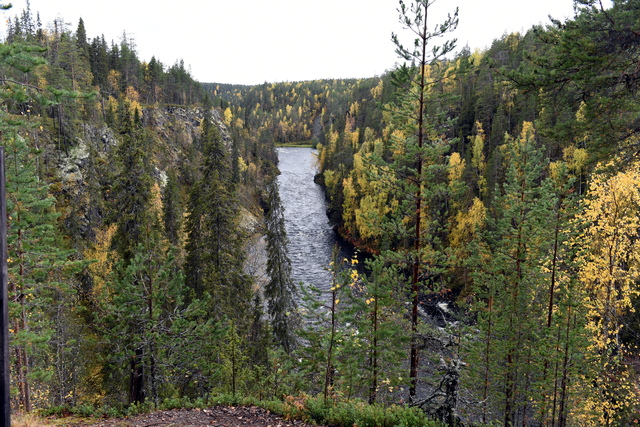 Nationalpark-Idylle im Norden Finnlands: Blick auf den Kitkajoki bei Kalliosaari