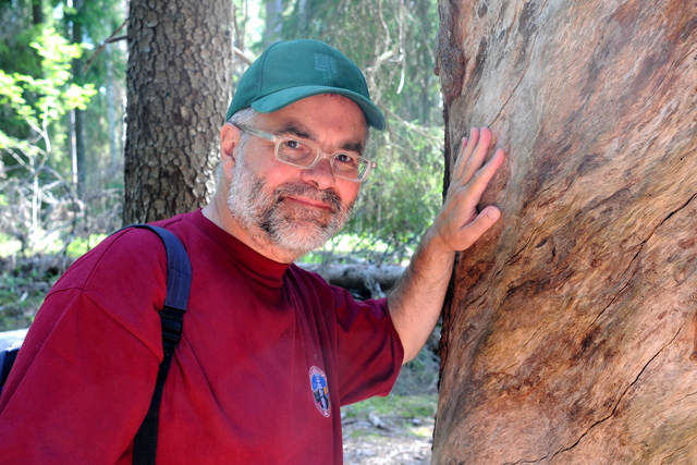 Autor an einem alten Baum im Pyhä-Häkki-Nationalpark